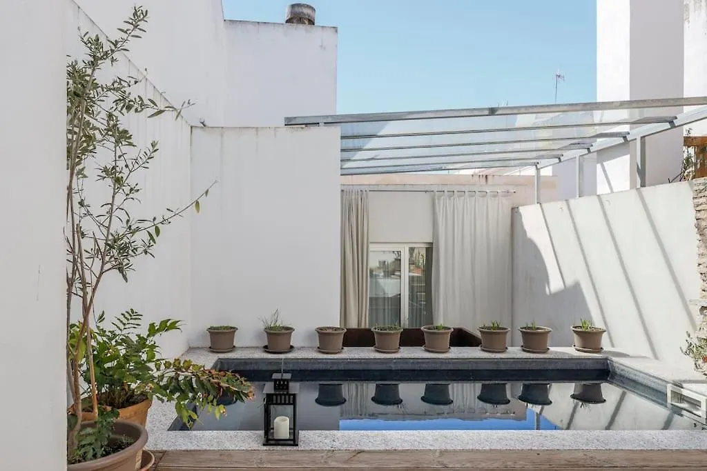 Precioso Duplex Con Piscina, Sevilla Centro Matahacas 2D 0*, Seville Spain